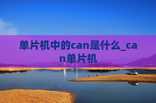 单片机中的can是什么_can单片机