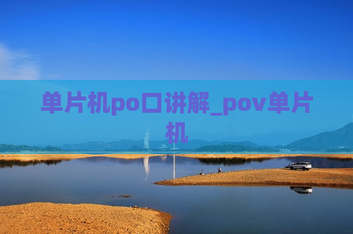 单片机po口讲解_pov单片机