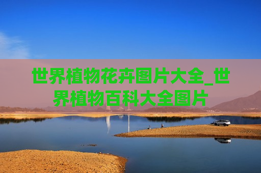 世界植物花卉图片大全_世界植物百科大全图片