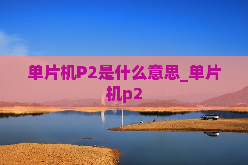 单片机P2是什么意思_单片机p2