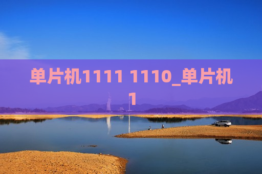 单片机1111 1110_单片机1