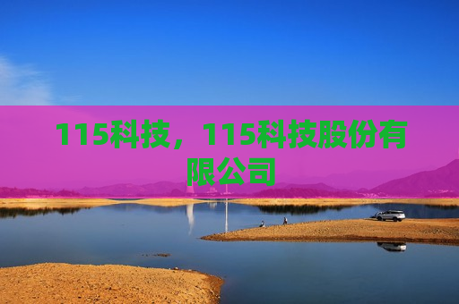 115科技，115科技股份有限公司