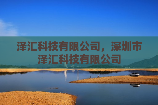 泽汇科技有限公司，深圳市泽汇科技有限公司